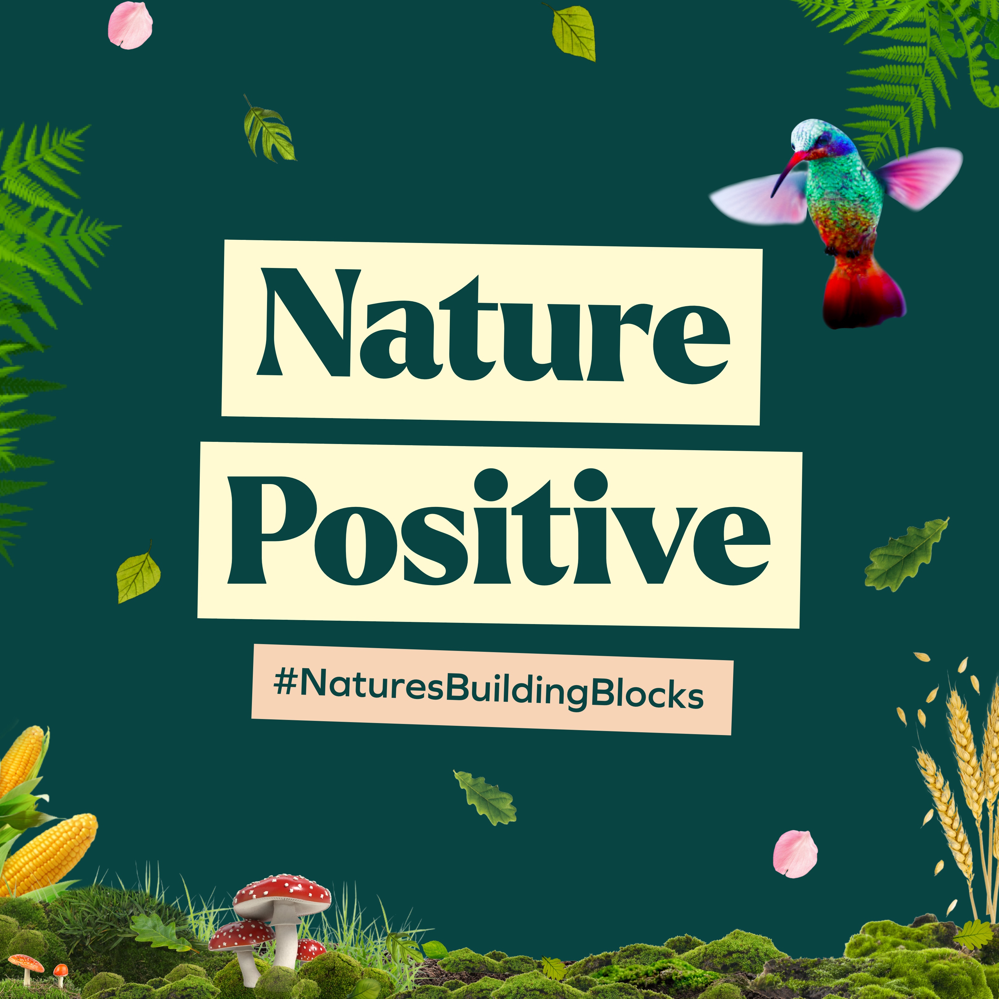 Nature positive